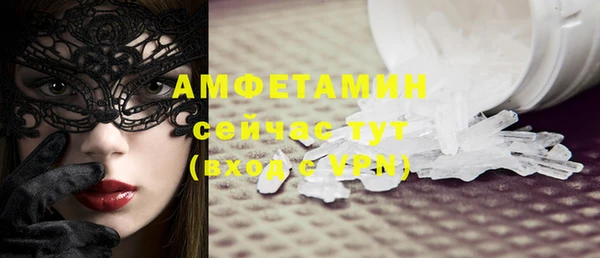прущие грибы Костерёво
