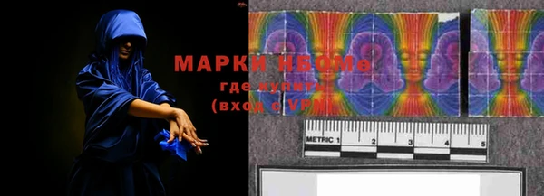 прущие грибы Костерёво