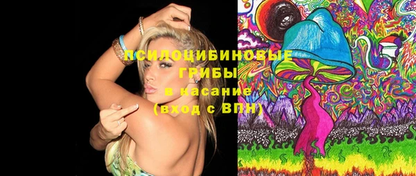 прущие грибы Белая Холуница
