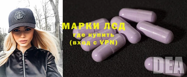 прущие грибы Костерёво