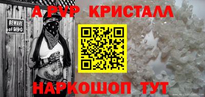 прущие грибы Кандалакша