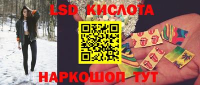 прущие грибы Кандалакша