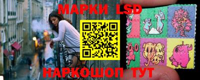 прущие грибы Кандалакша