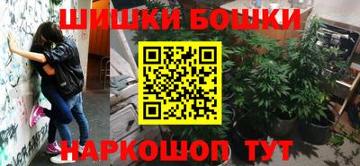 прущие грибы Кандалакша