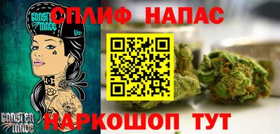 прущие грибы Кандалакша