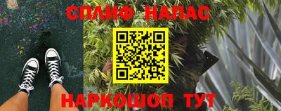 дживик Камышлов