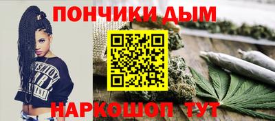 прущие грибы Кандалакша