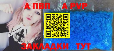 прущие грибы Кандалакша