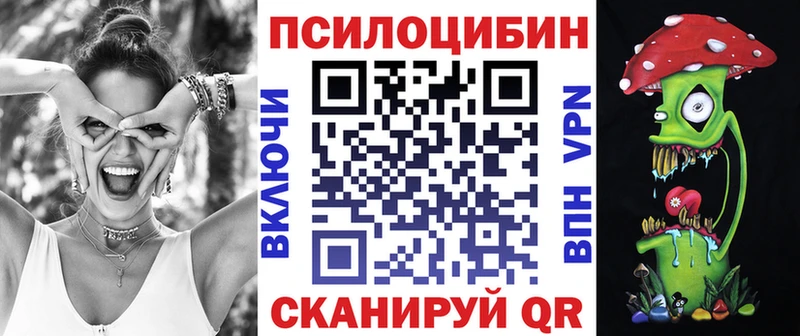 хочу   Мыски  Галлюциногенные грибы MAGIC MUSHROOMS 