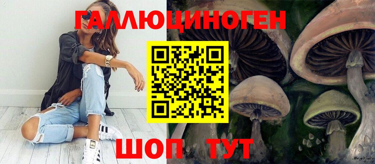 Псилоцибиновые грибы Psilocybine cubensis  Вход с VPN  Галлюциногенные грибы прущие грибы  Мыски 