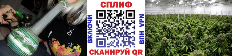 МАРИХУАНА Ganja  Мыски 