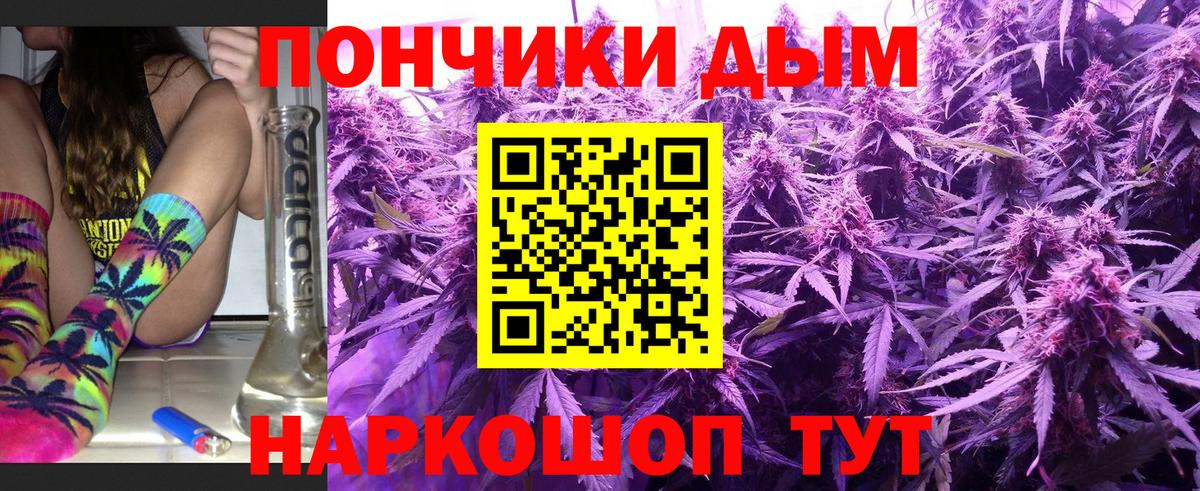 Шишки марихуана ГИДРОПОН Мыски